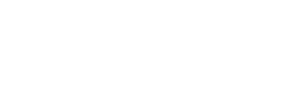 Netgame